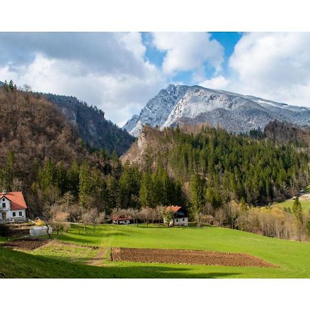 Turisticna Kmetija Stoglej Villa Luče Eksteriør billede