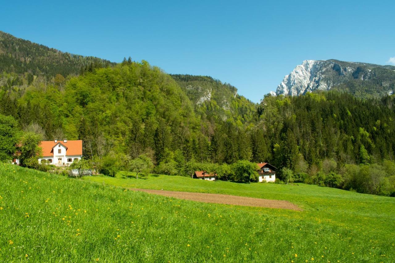 Turisticna Kmetija Stoglej Villa Luče Eksteriør billede